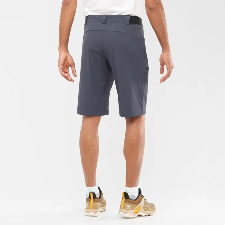Salomon Wayfarer Men's Shorts Navy | CA 89T60